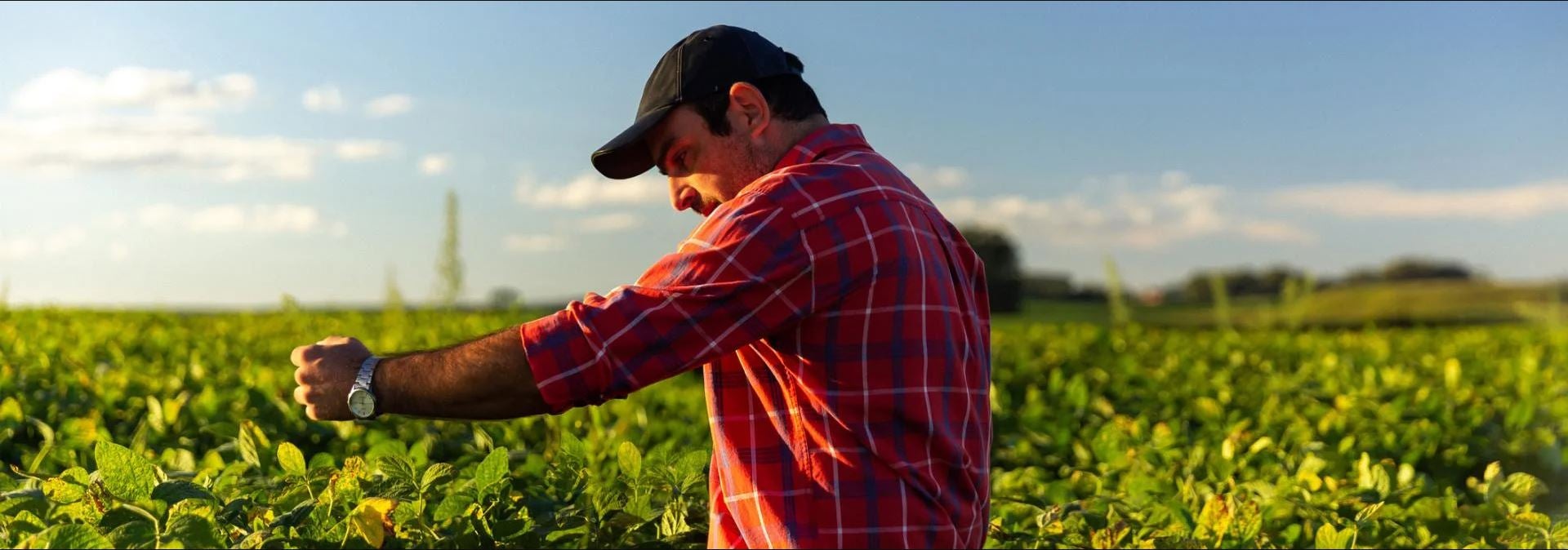 sustainability header